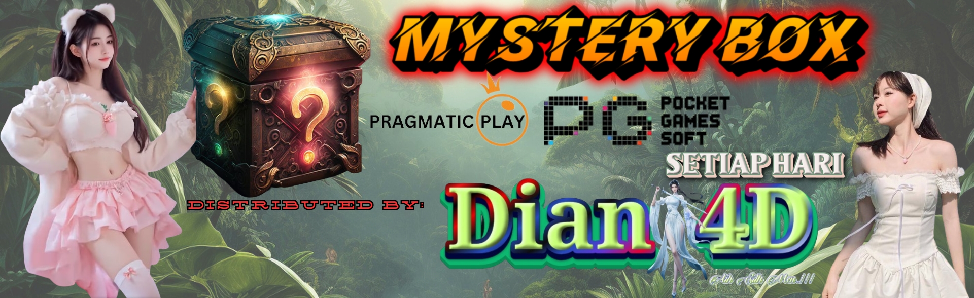 Dian4D Mystery box